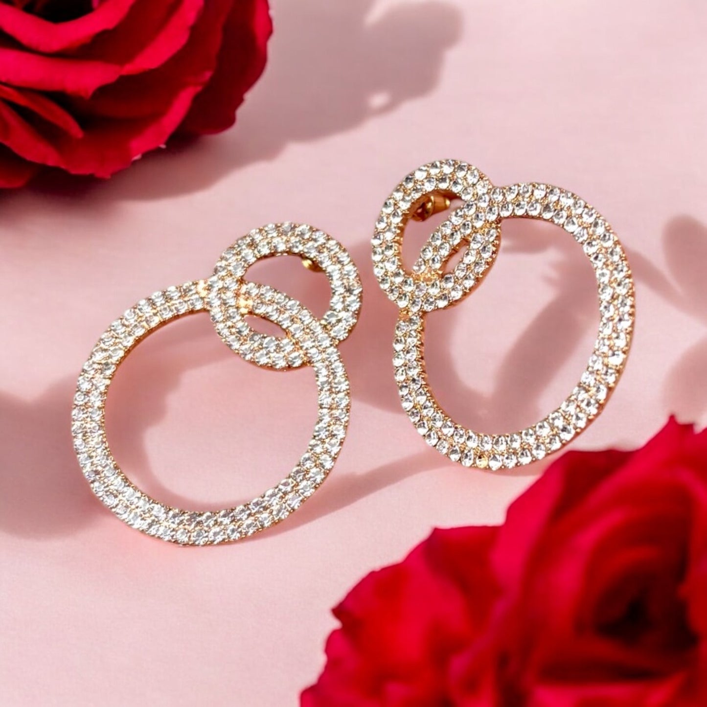 Infinity Circles Earrings